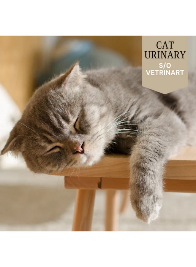 واجز دراي فوود علاجي للقطط البالغة 2 كيلو - Image 2